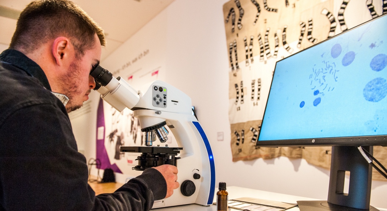 Daniel schaut durch ein Mikroskop, an der Wand und im Computer kann man Chromosomen sehen