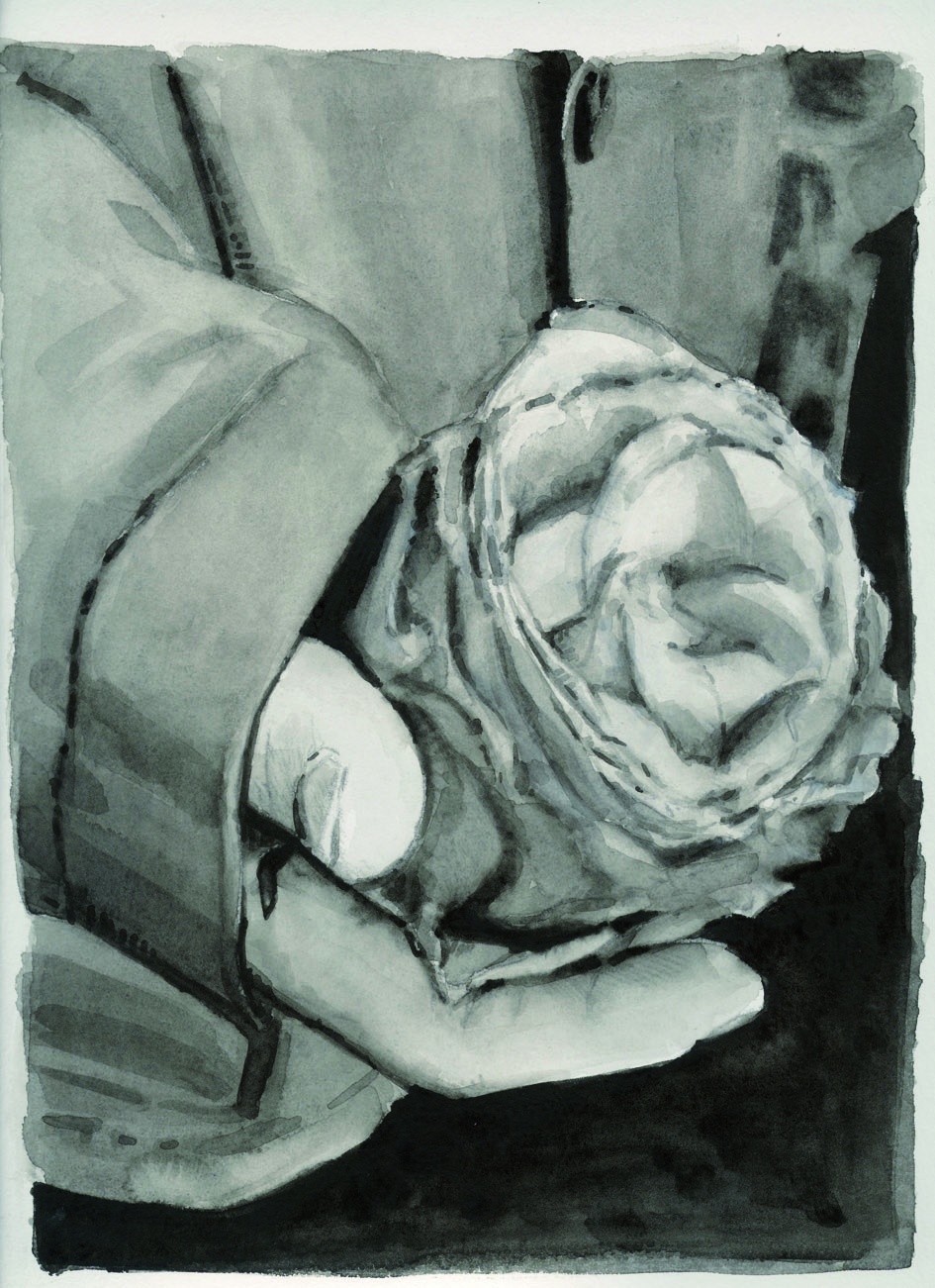 Eine Rosenblüte wird in einer Hand gehalten.
