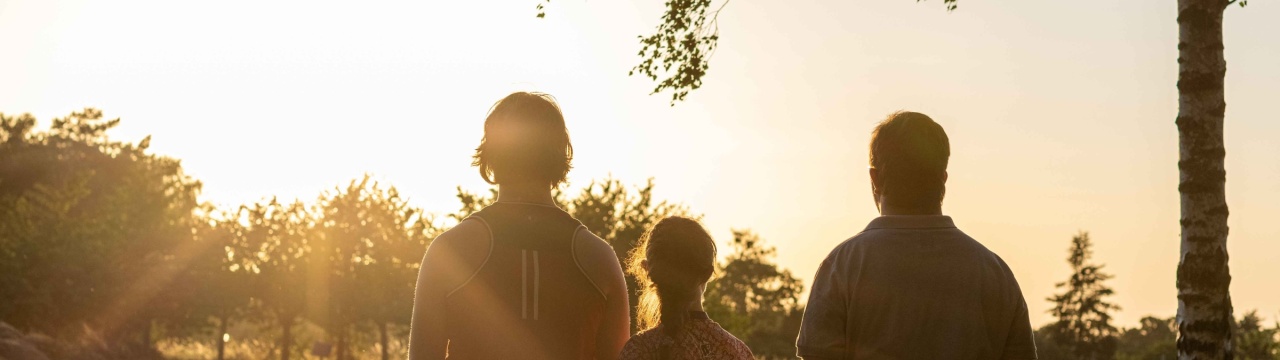 3 Personen mit Down-Syndrom stehen im Gegenlicht vor dem Sonnenuntergang neben einem Baum.